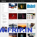 collection wordpress theme