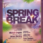 Spring Break Party Flyer