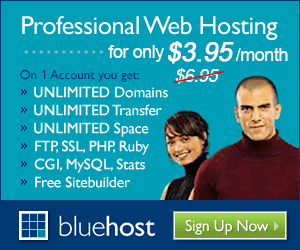 bluehost300-250