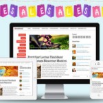 Sensational-WordPress-Themes