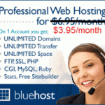 bluehost black friday coupon code