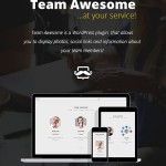 Team-Awesome-WordPress-Plugin