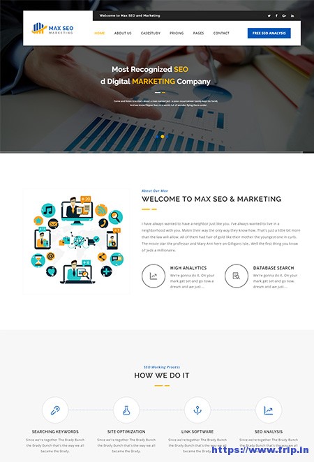 30 Best SEO Website Templates For SEO Companies Agency 