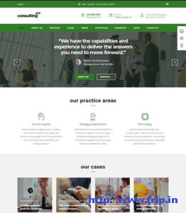 Consulting WP Business WordPress Theme 262x300 