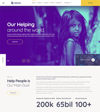 Fundraising WordPress Theme