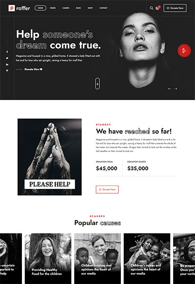 Proffer-WordPress-Theme