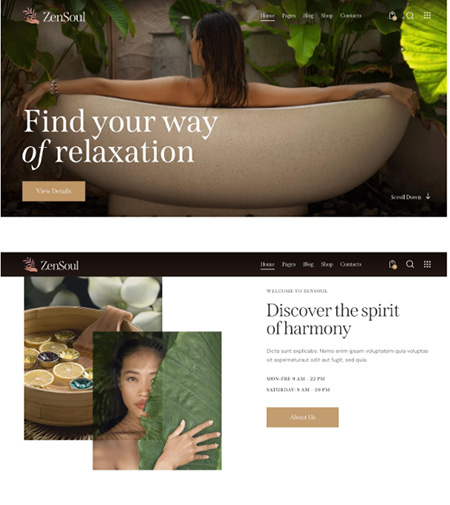 ZenSoul-wordpress-theme