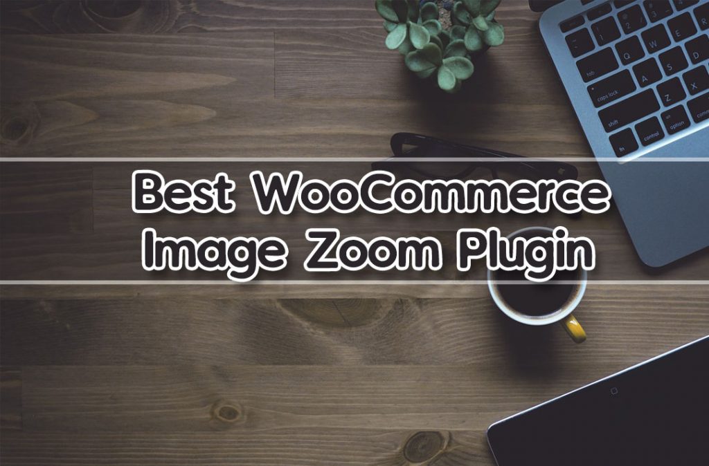 10+ Best Image Zoom Plugin 2019 (Free & Premium) Frip.in